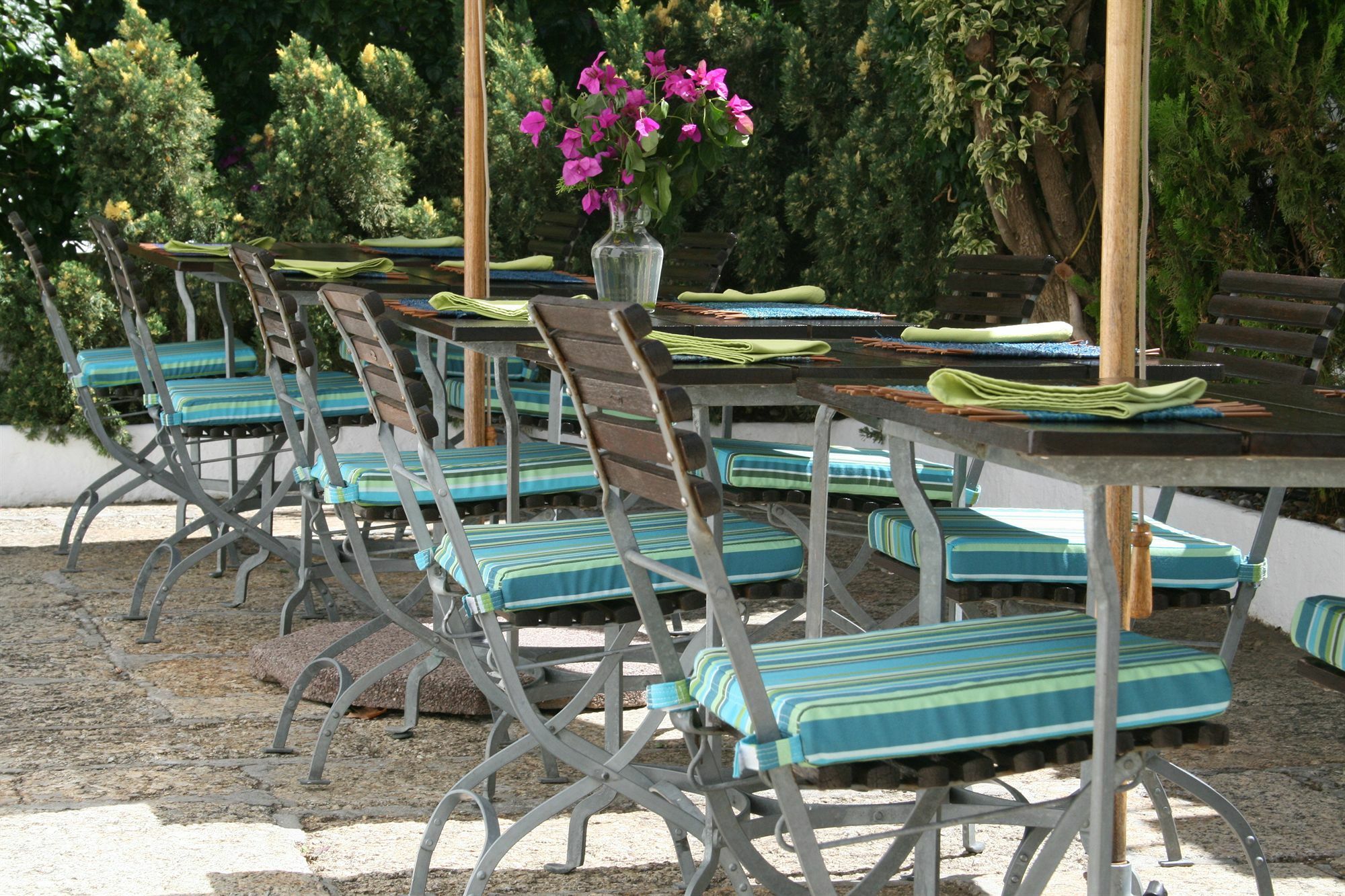 קייפטאון Africanhome Guesthouse מראה חיצוני תמונה